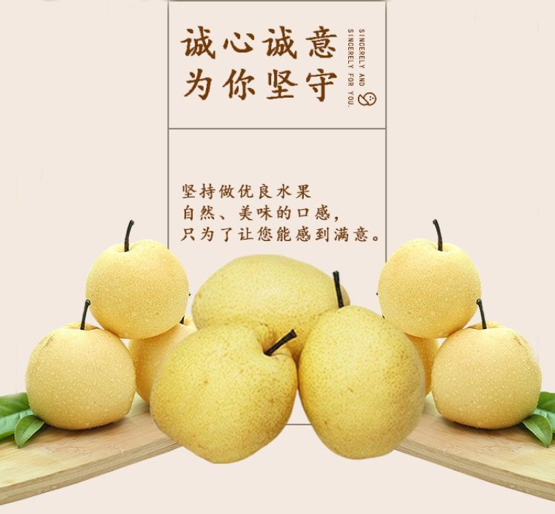 蒲城酥梨