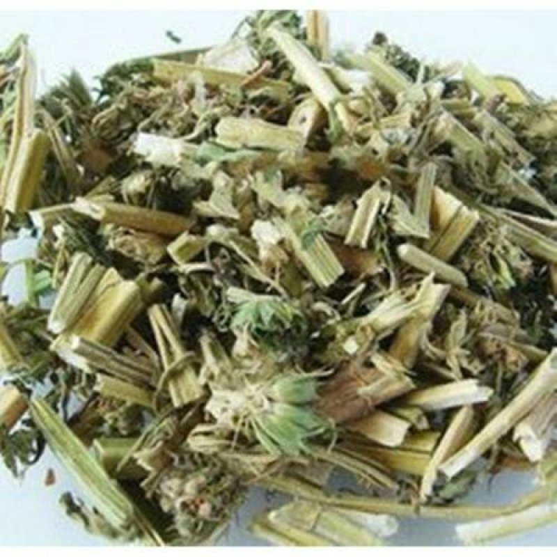 益母草坤草千余品种供应承接订单