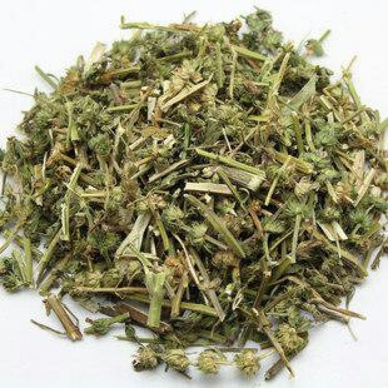 益母草坤草千余品种供应承接订单