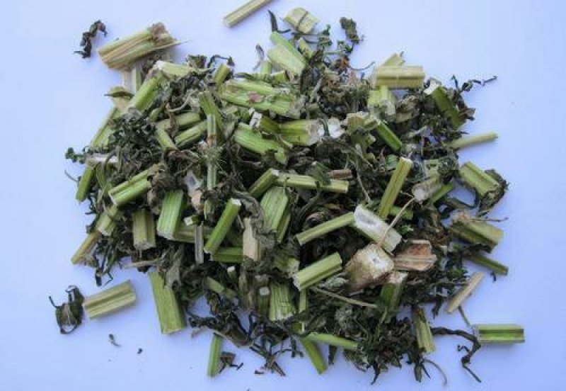 益母草坤草千余品种供应承接订单