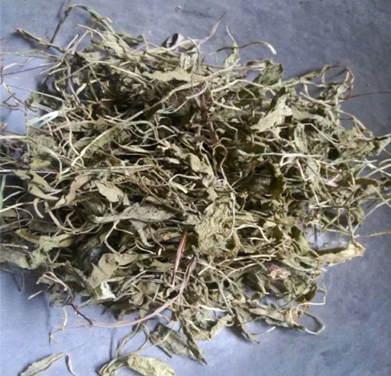 一只箭蛇咬子中药专营品质保证