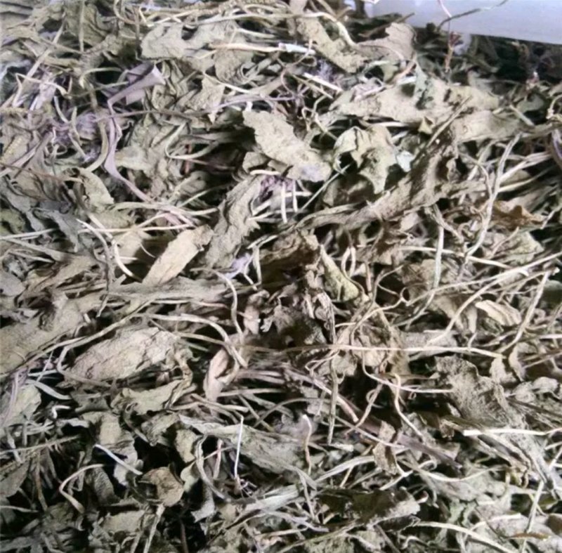 一只箭蛇咬子中药专营品质保证