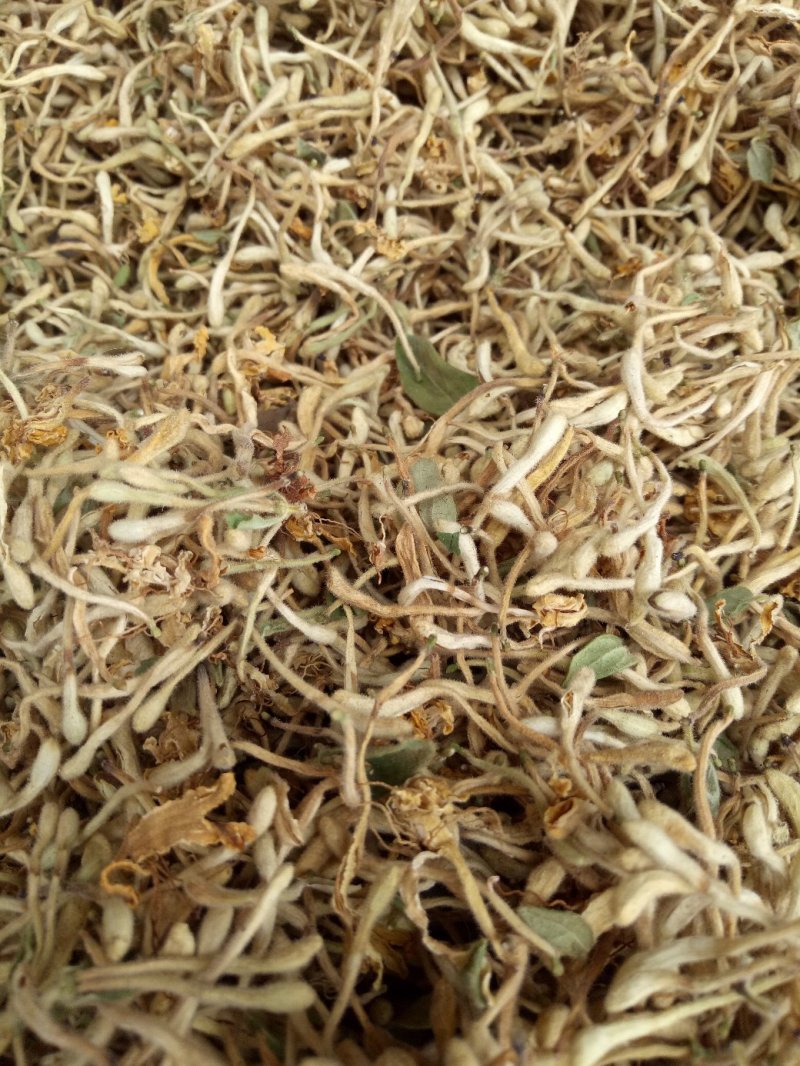金银花，烘干绿色金银花，太阳晒干白黄色金银花
