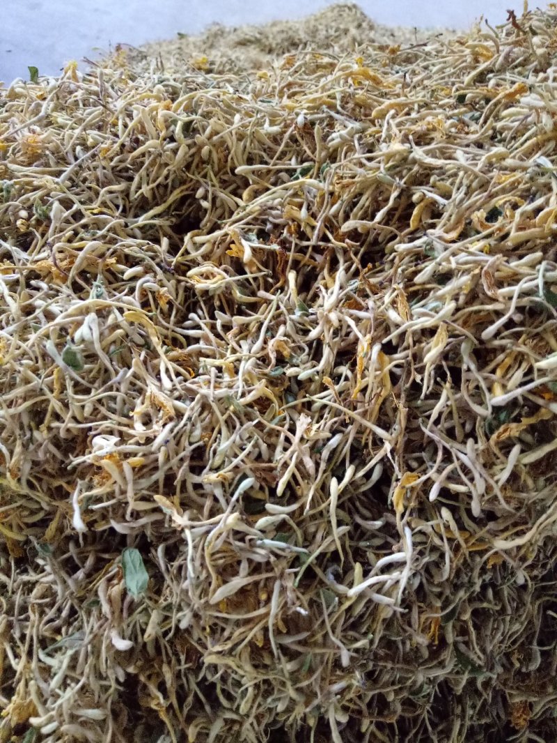 金银花，烘干绿色金银花，太阳晒干白黄色金银花