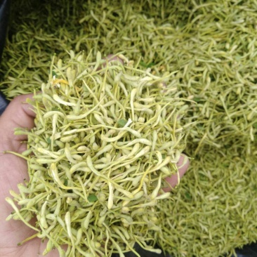 金银花，烘干绿色金银花，太阳晒干白黄色金银花
