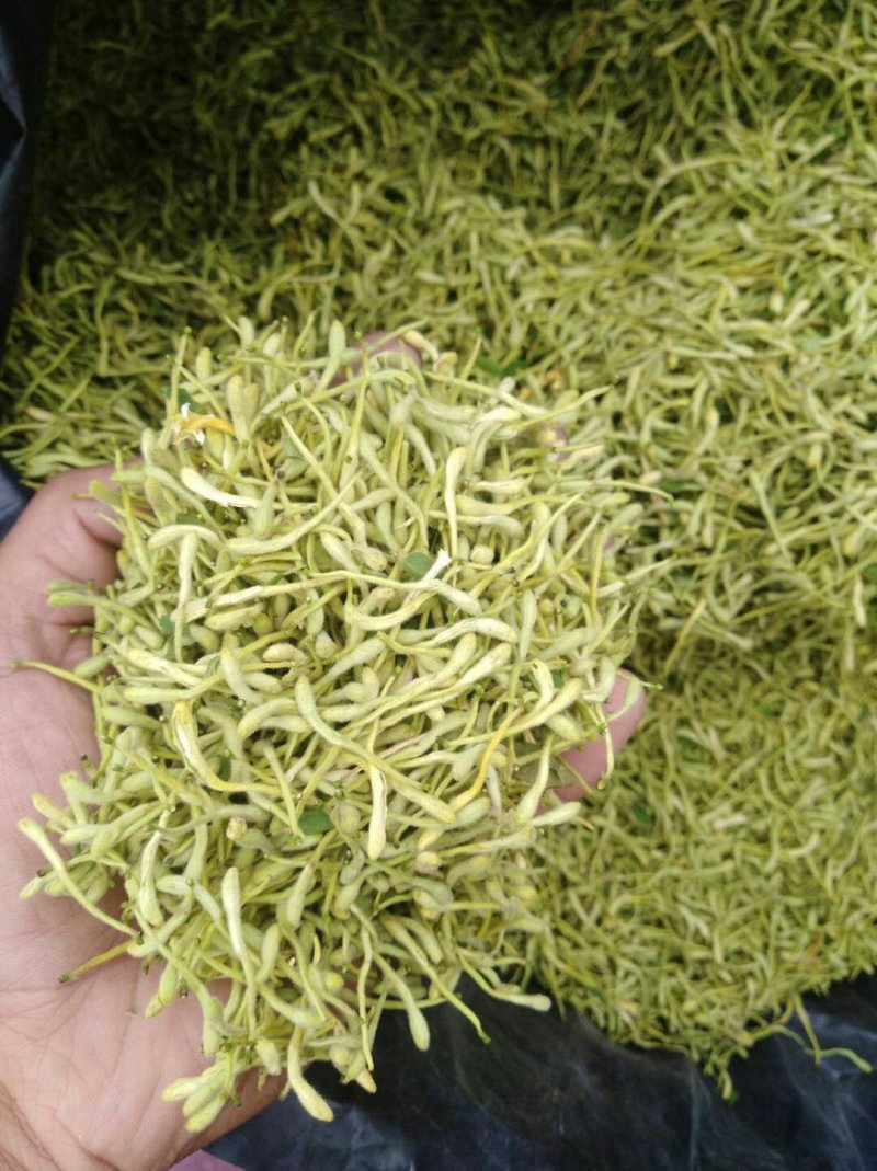 金银花，烘干绿色金银花，太阳晒干白黄色金银花