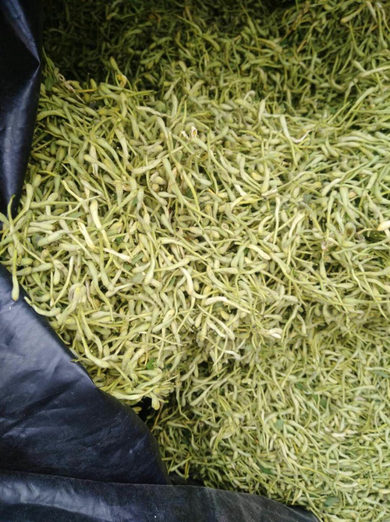 金银花，烘干绿色金银花，太阳晒干白黄色金银花