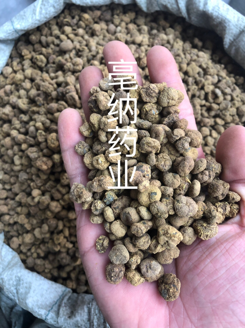 元胡延胡索1公斤起批中药材元胡个/片大货批发
