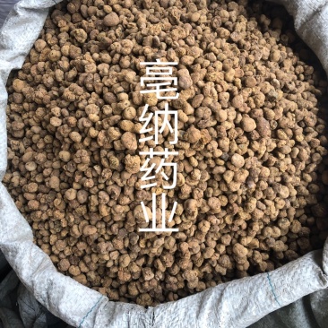 元胡延胡索1公斤起批中药材元胡个/片大货批发