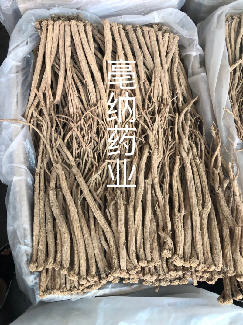 党参个/片1公斤起批