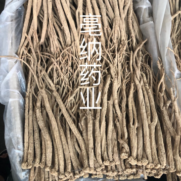 党参个/片1公斤起批
