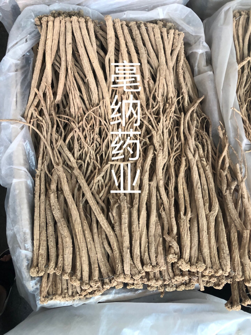 党参个/片1公斤起批