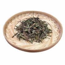 猫须草肾茶不老草可打粉中药专营品质保证