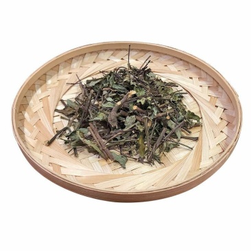猫须草肾茶不老草可打粉中药专营品质保证