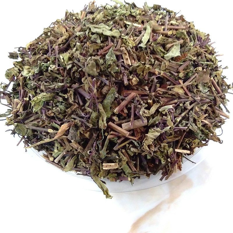 猫须草肾茶不老草可打粉中药专营品质保证