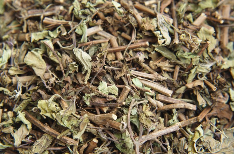 猫须草肾茶不老草可打粉中药专营品质保证