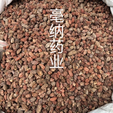 砂仁米1公斤起批砂仁米大货批发手剥砂仁米