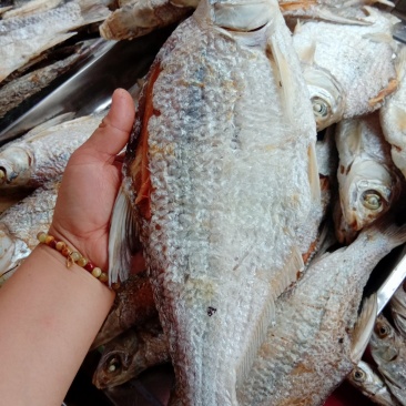 清远北江河鱼干