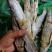 清远北江河鱼干
