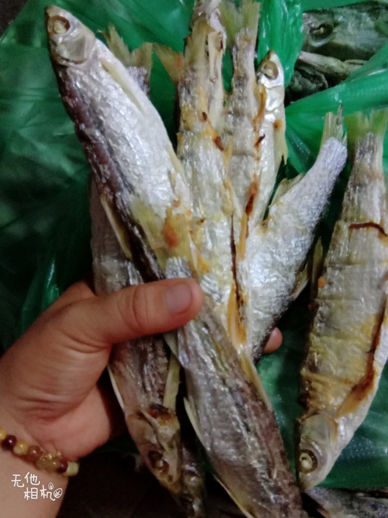 清远北江河鱼干