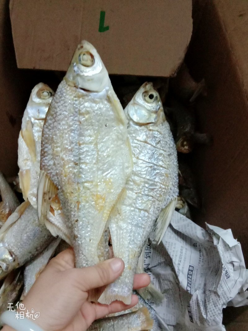 清远北江河鱼干