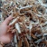 清远北江河鱼干