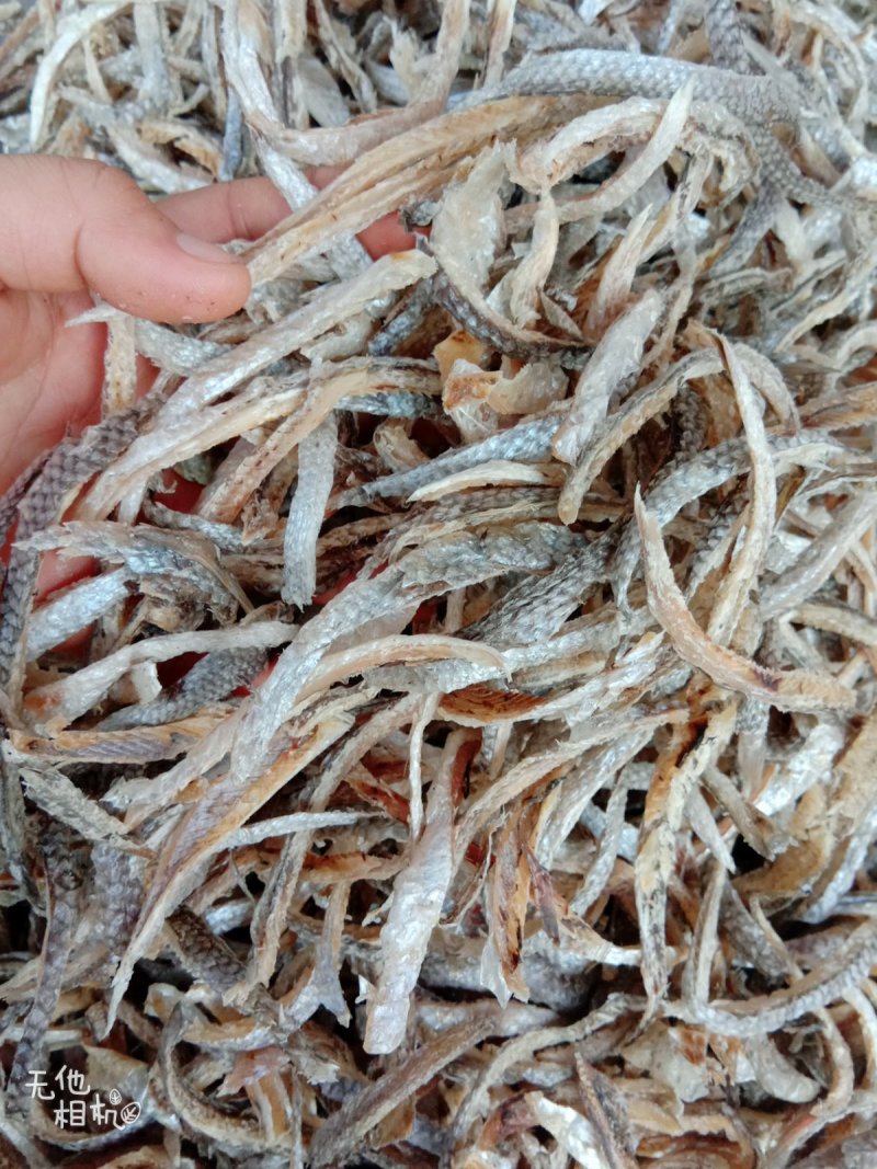 清远北江河鱼干