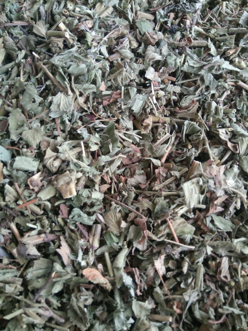 仙鹤草千余品种供应承接订单