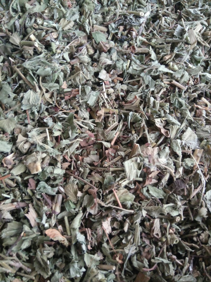 仙鹤草千余品种供应承接订单