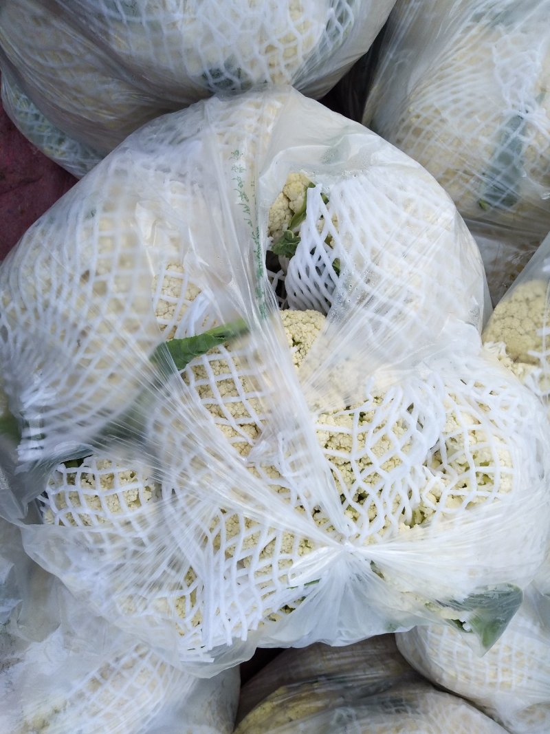 散花，全国的散花在这里汇聚，品类齐全，保质保量，