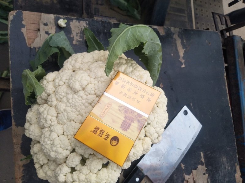 散花，全国的散花在这里汇聚，品类齐全，保质保量，