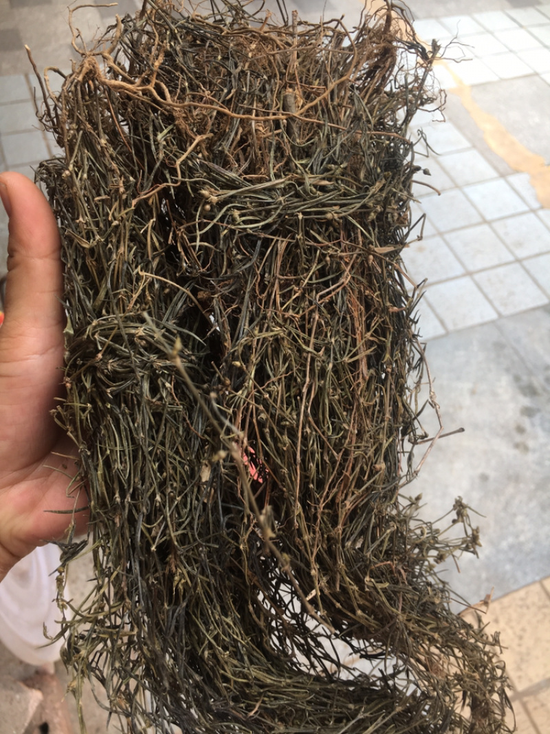 田基黄