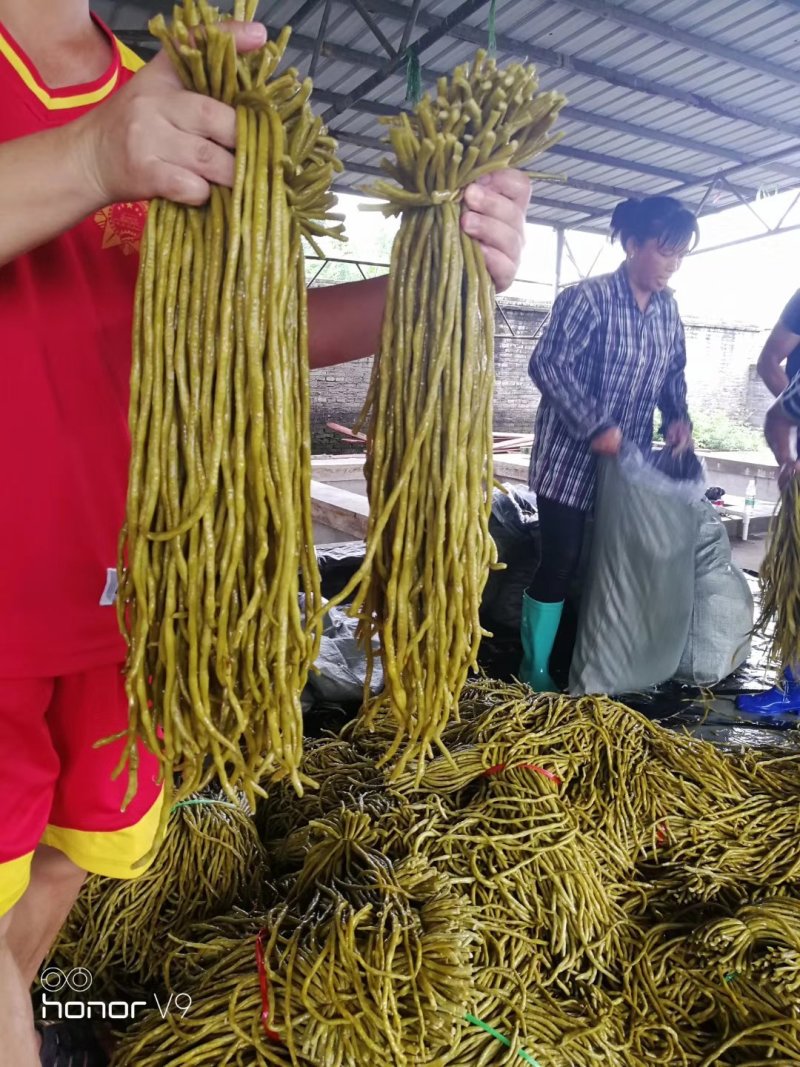 酸豆角50一70厘米，质优价廉。