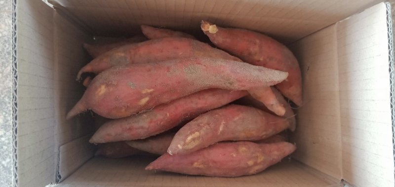六鳌红蜜薯社区拼团微商拿货批发上车价每天稳定发货