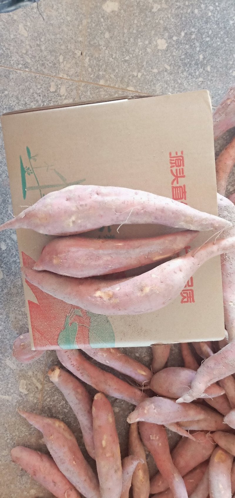 六鳌红蜜薯社区拼团微商拿货批发上车价每天稳定发货