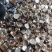 900克2019年新货临安山核桃仁每罐150克6罐包邮装