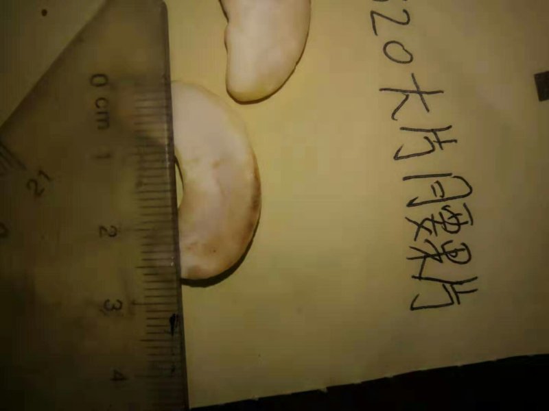物流包邮美味半片去皮w320腰果仁馅料专用