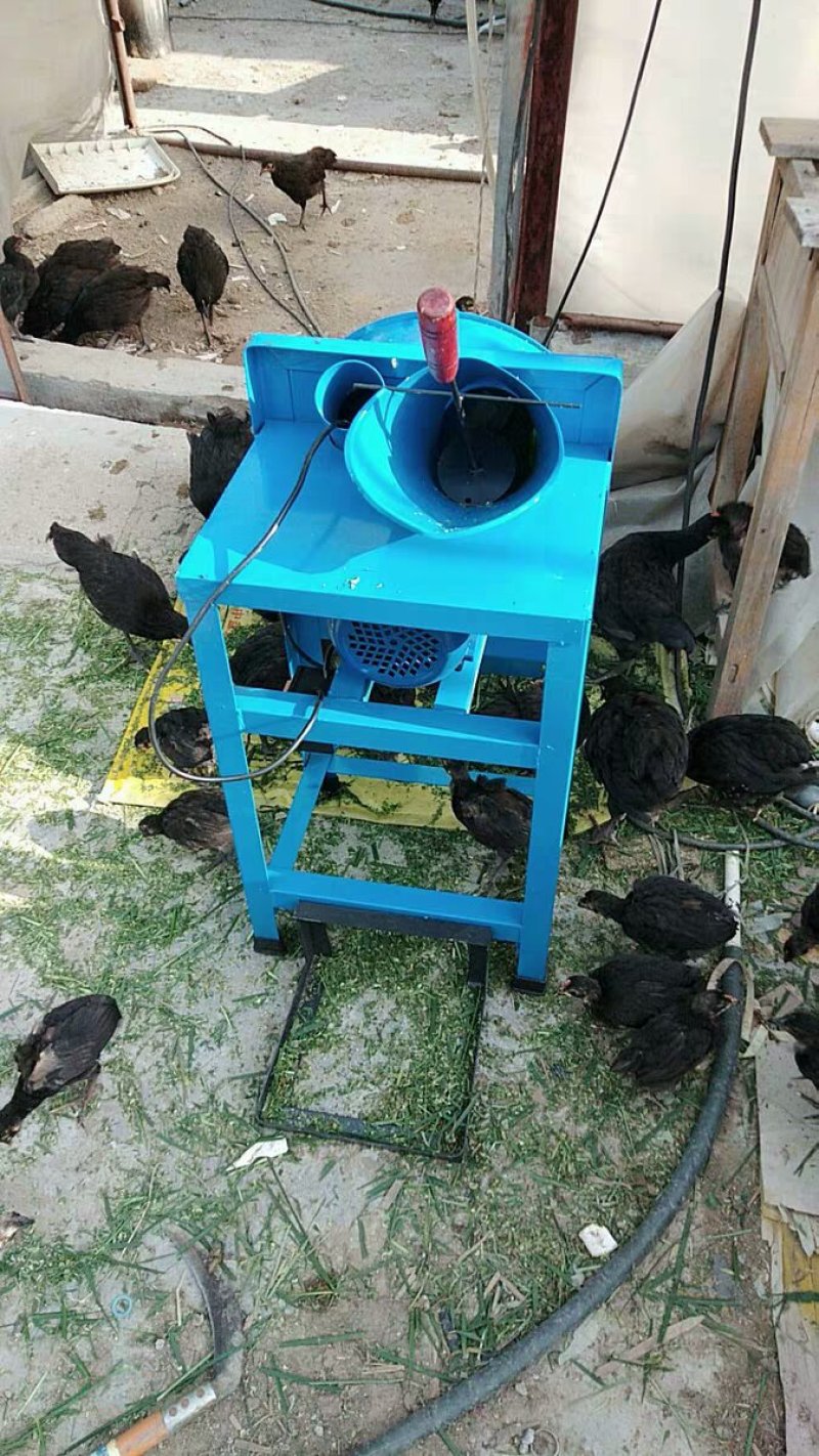 电动切草碎草机小型家用青饲料养殖牛羊铡草机粉碎机农用砍猪