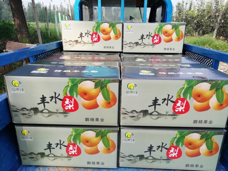 送礼走起