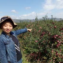 代办礼县花牛。老基地老品牌种植于70年代初，苹果味道甘醇