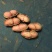 小白沙，大白沙，罗汉果鲜花生，干花生