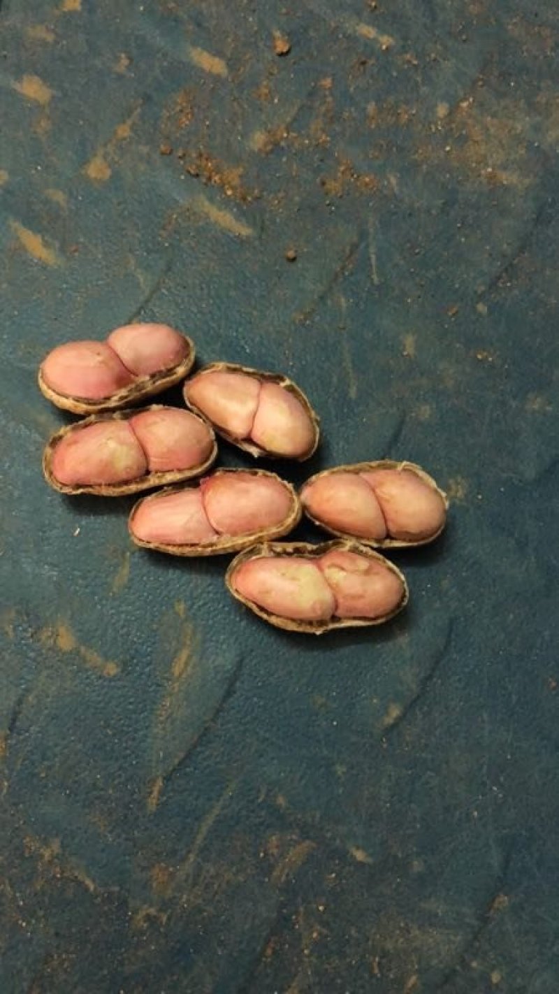 小白沙，大白沙，罗汉果鲜花生，干花生