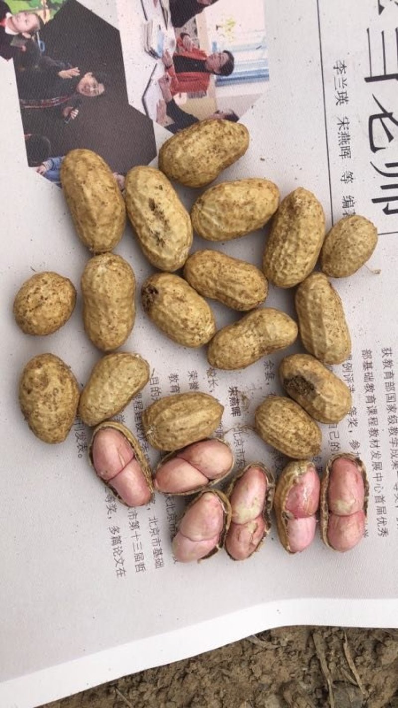 小白沙，大白沙，罗汉果鲜花生，干花生