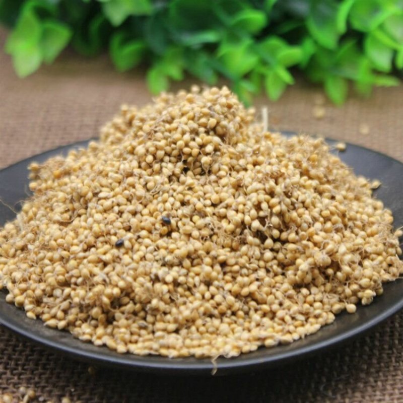 谷芽正品保障各种规格专业经营中药批发