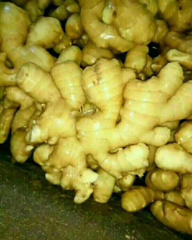 低价供应各种大黄姜，小黄姜，面姜量大优惠