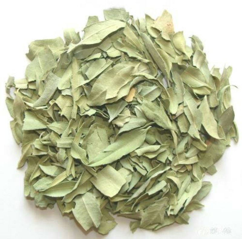 罗布麻叶产地直供支持线上交易可搭配多品种采购大货联系