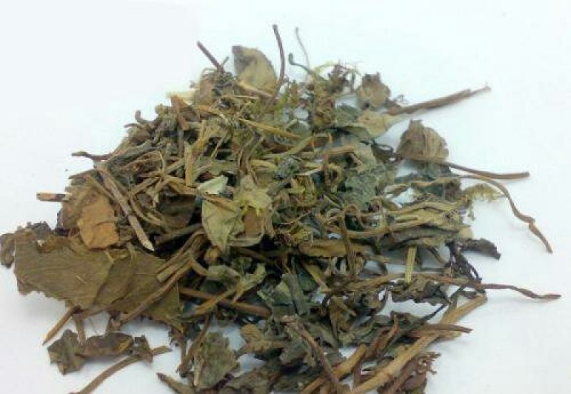 连钱草产地直供可搭配多品种采购大货联系客服