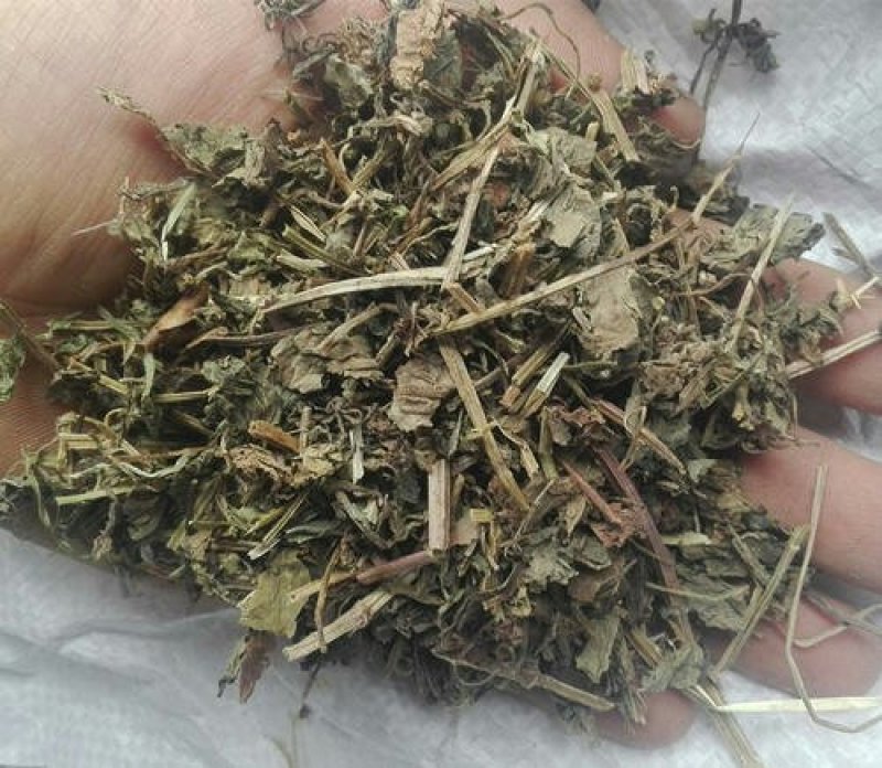 连钱草产地直供可搭配多品种采购大货联系客服