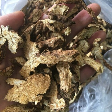 苍术产地直供可搭配多品种采购大货联系客服