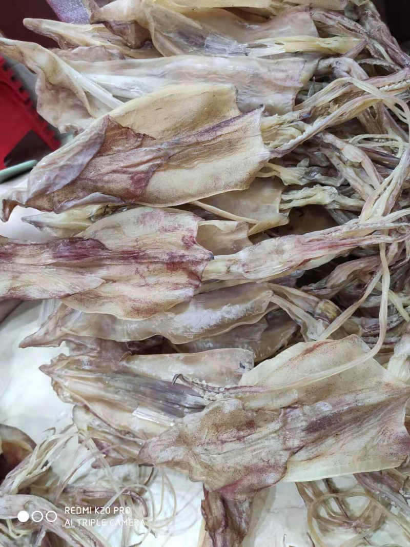 本港就船